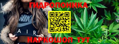 прущий лед Будённовск