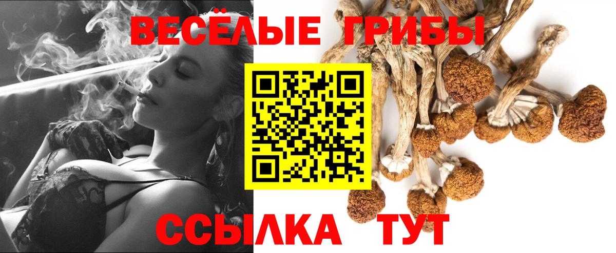Галлюциногенные грибы ЛСД  Вход с VPN  Новомосковск  Галлюциногенные грибы мухоморы 
